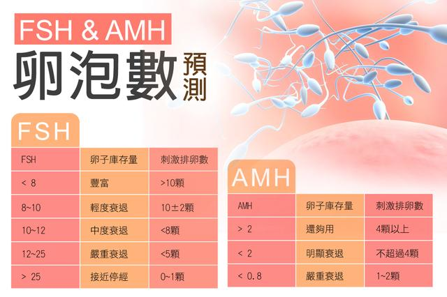 生产规模最大、技术最领先、产线最先进，国内